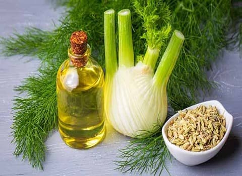 تصویر 4 از خرید و قیمت عرق رازیانه اصل + فروش صادراتی